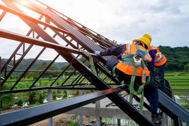 Best Roof Gutter Cleaning  in Dimondale, MI