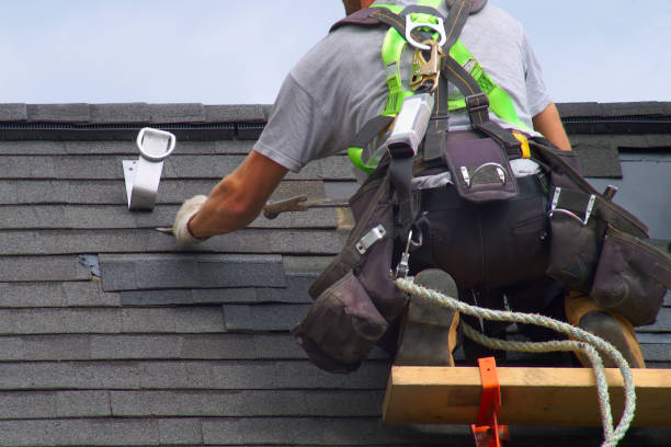 Best Commercial Roofing Services  in Dimondale, MI