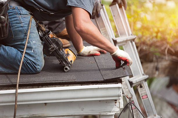 Best Roof Gutter Cleaning  in Dimondale, MI