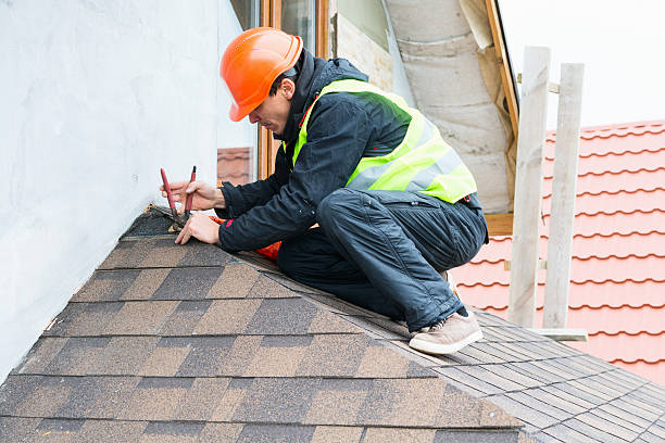 Best Commercial Roofing Services  in Dimondale, MI